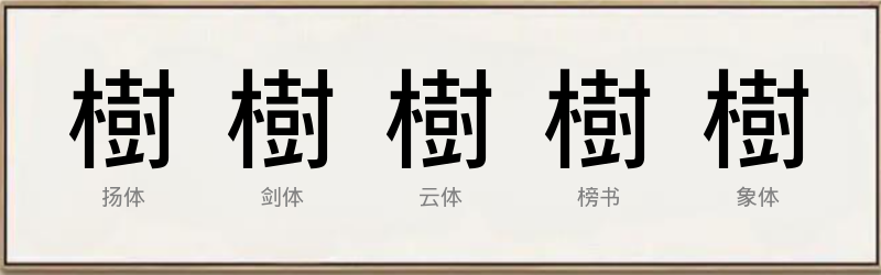 樹