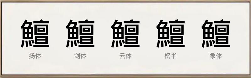 鱣