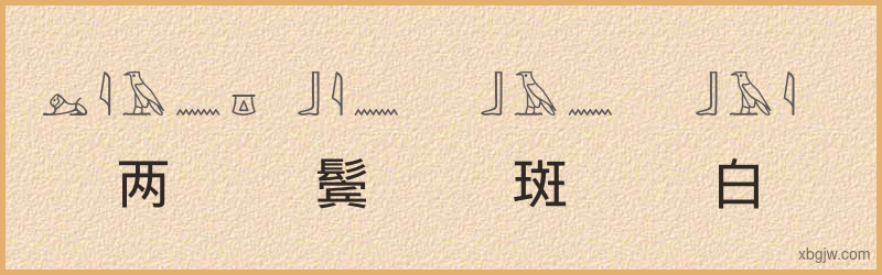 “两鬓斑白”古埃及象形文字