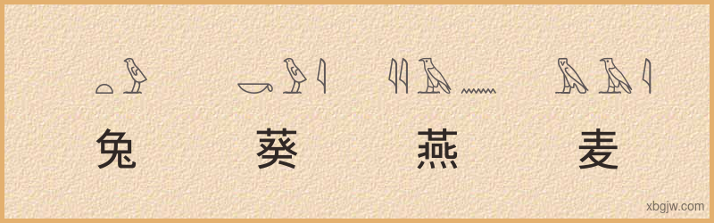 “兔葵燕麦”古埃及象形文字