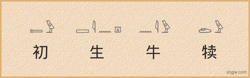 “初生牛犊”古埃及象形文字