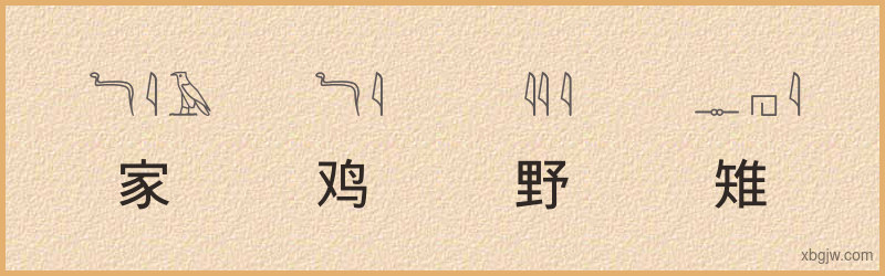 “家鸡野雉”古埃及象形文字