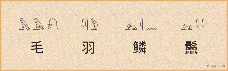 “毛羽鳞鬣”古埃及象形文字