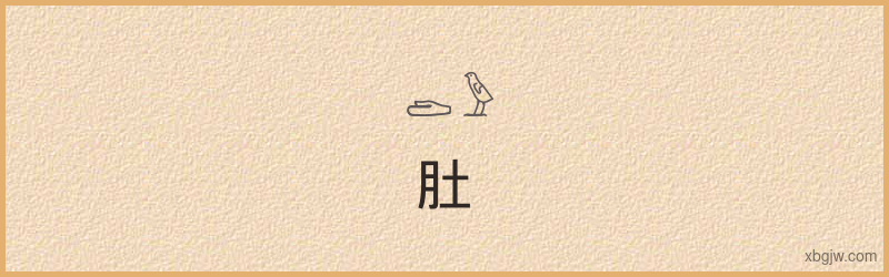 “肚”古埃及象形文字