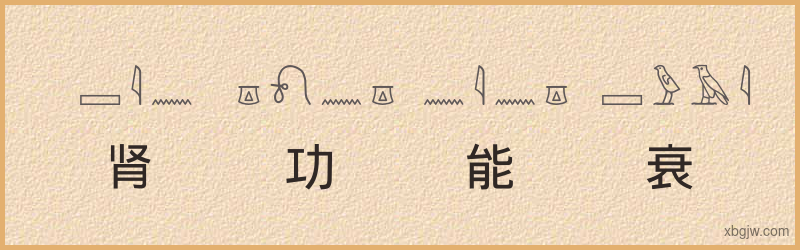 “肾功能衰竭”古埃及象形文字