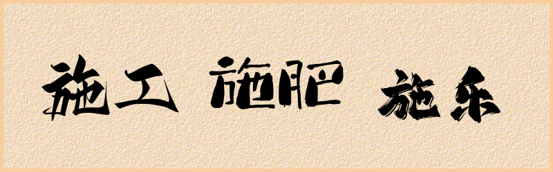 施字组词