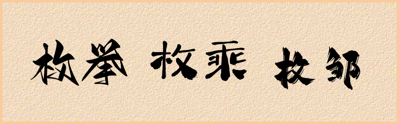 枚字组词