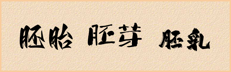 胚字组词