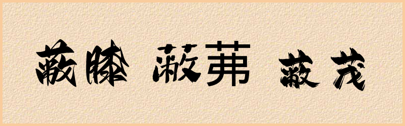 蔽字组词